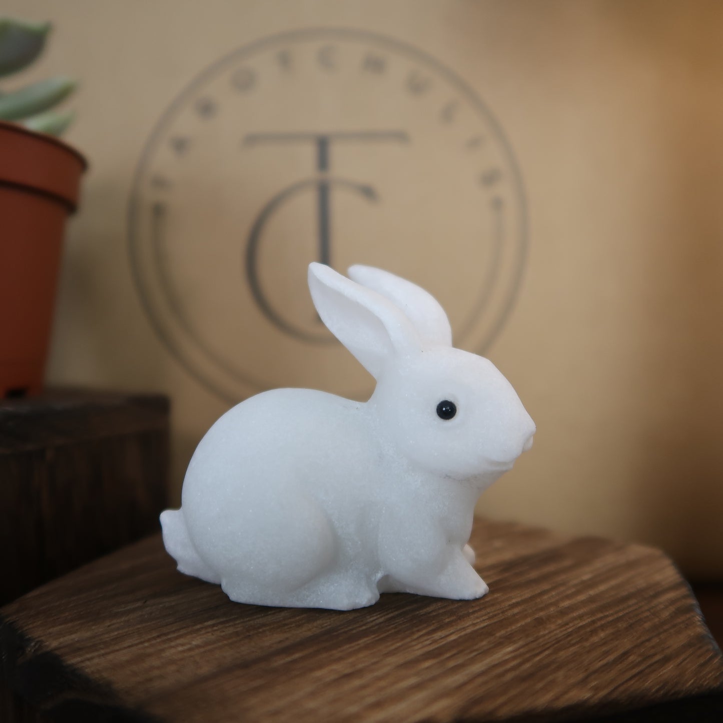 🐇 WHITE JADE: LUCKY BUNNY ✨