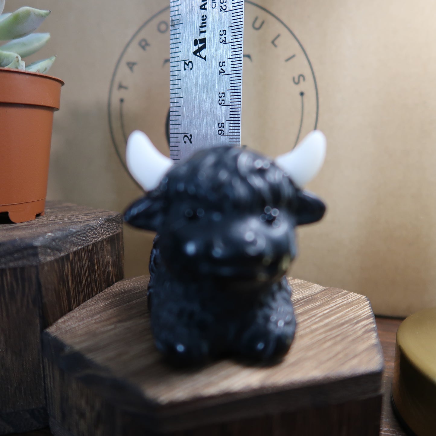 🐃 BLACK OBSIDIAN: HIGHLAND COW ✨