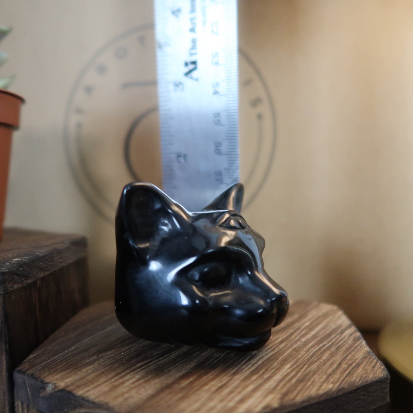 🐈‍⬛ BLACK OBSIDIAN: THIRD EYE CAT ✨
