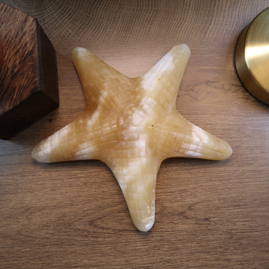 ⭐️ YELLOW CALCITE: STARFISH ENERGY ✨
