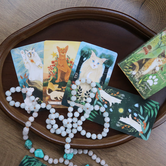 Forest Felines Tarot Deck